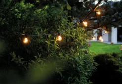 Sale Nowodvorski Garden Garland utendørs lysslynge 6 meter 10 lys IP65 startsett - Svart