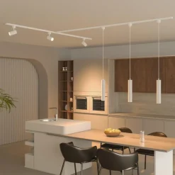 New Philips EasyLink Paxie pendel for spotskinne