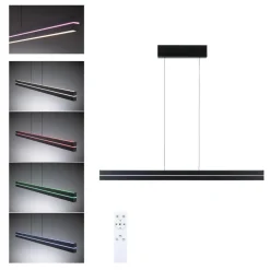 Best Paulmann Raiko takpendel 19/6W 2700-6500 Kelvin RGB med fjernkontroll