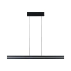 Best Paulmann Raiko takpendel 19/6W 2700-6500 Kelvin RGB med fjernkontroll