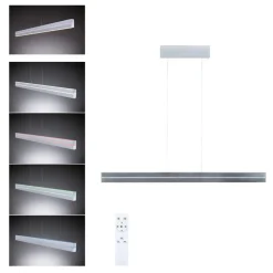 Best Paulmann Raiko takpendel 19/6W 2700-6500 Kelvin RGB med fjernkontroll