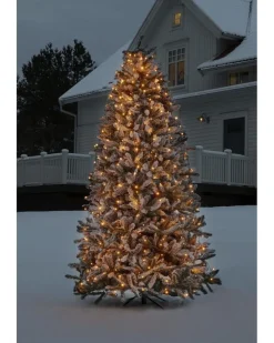 Clearance Konstsmide Ringslynge 2,4 meter Firefly 8 x 30 LED - Frostet Amber
