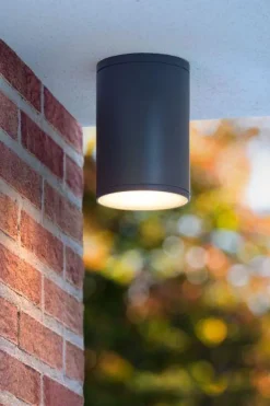 Discount Lucide Tubix takspot utendørs IP54 E27 Antrasitt