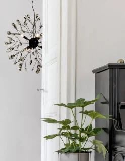 Online Aneta Lighting Viva takpendel